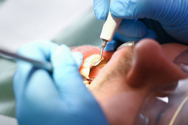 Best Emergency Orthodontic Services in Flat Rock, MI